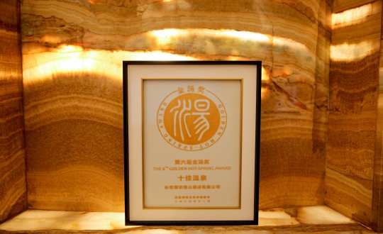 44.酒店公司榮獲第六屆金湯獎(jiǎng)_副本.jpg 44.酒店公司榮獲第六屆金湯獎(jiǎng)_副本.jpg