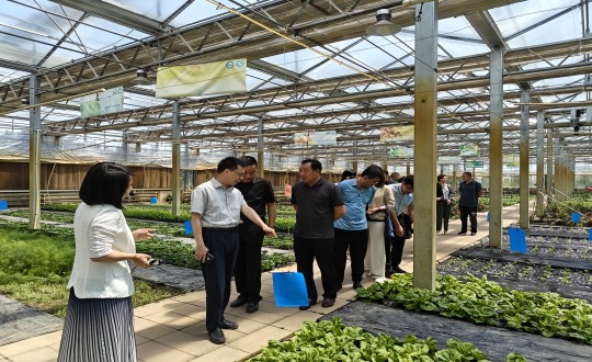 2024年6月27日，中國綠色食品發(fā)展中心相關(guān)領(lǐng)導(dǎo)蒞臨農(nóng)業(yè)總公司考察調(diào)研_副本.jpg